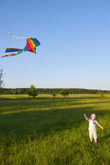 Little boy holds a kite on a green meadow.