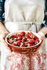 Crop woman in an apron holds a bowl with ripe strawberries. Gardening summer concept. Healthy lifestyle.
