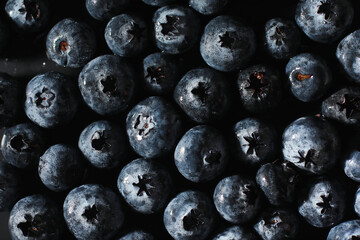 Water drops on ripe sweet blueberry. Fresh blueberries background with copy space for your text. Vegan and vegetarian concept. Macro texture of blueberry berries.