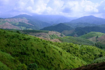 Fototapeta na wymiar Damaged forest on the mountain in Thailand