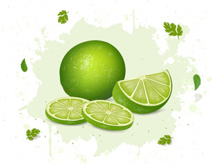 lemon vector illustration with round pieces of green lemon