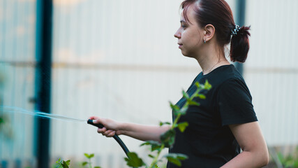 Woman watering the garden from hose. Female spraying water on vegetables with a garden hose. A happy woman with a hose takes care of the garden. Concept: gardening and garden care