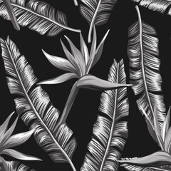 Creative black white seamless illustration bird of paradise, strelizia flowers and palm, banana leaves on the black background. Design fabric pattern, trendy foliage wallpaper.