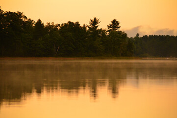 Fototapeta na wymiar Foggy lake reflects a forest