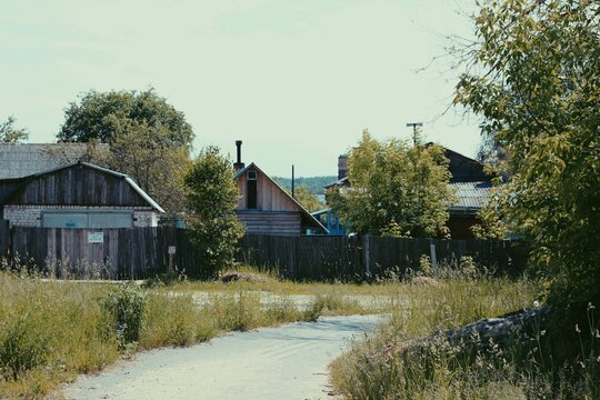 photo of a dense Russian forest