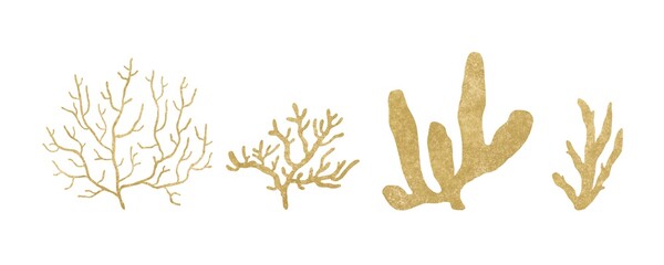 set of yellow corals. illustration of underwater marine organisms isolated on a white background. High quality photo