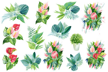 tropische planten, bladeren, bloemen aquarel boho illustratie, botanisch schilderij, boeket bloemen
