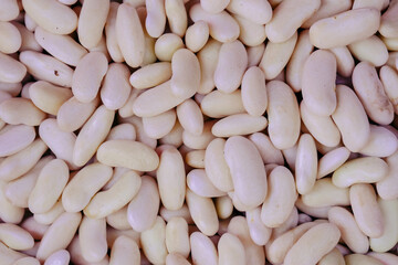 White beans texture background from the top view. Healthy fresh white beans in a greenhouse on an organic farm. Royalty high-quality free stock image of beans. Nature photography.