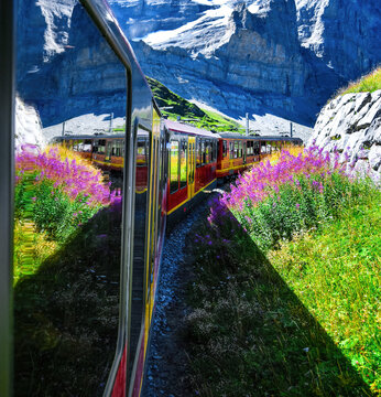 Beautiful scenery with cogwheel red train of the famous Jungfrau Railway from Jungfraujoch ( Top of Europe) to Kleine Scheidegg, Bernese Oberland, Switzerland