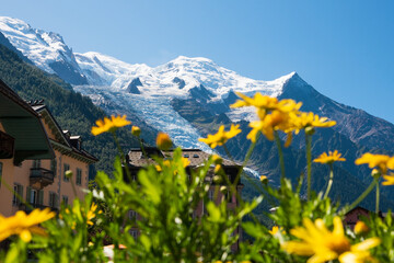 Chamonix-Mont-Blanc, France. Beautiful Alpine landscape with snow covered Mont Blanc mountain in summer through blurry yellow flowers at chalet balcony. Haute-Savoie relaxing vacation background. - obrazy, fototapety, plakaty