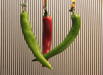 colorful organic peppers on striped background
