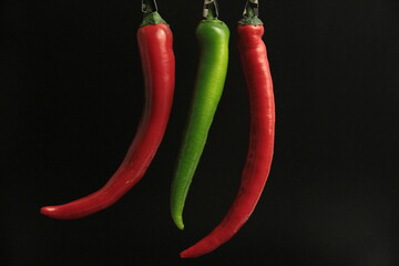 fresh organic peppers on a black background
