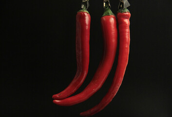 fresh organic peppers on a black background