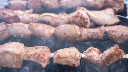 Shashlik meat fry on coals with smoke. Barbecue Meat on the grill