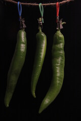 fresh organic peppers on a black background