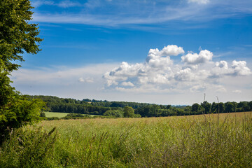 Fototapeta premium Sunny English Summer Meadow