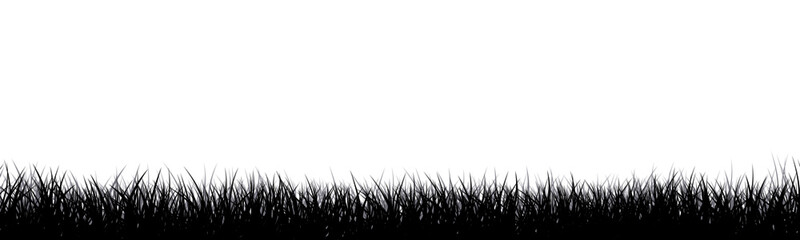 Fototapeta premium Meadow vector illustration