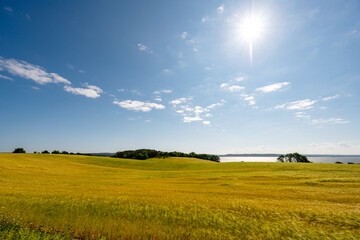 romantische Landschaft auf der Insel Usedom