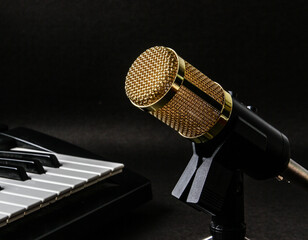 Professional studio microphone isolated on black