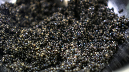 Quality black caviar with sturgeon. Workshop for the production of a quality product. Beluga and trout in the food industry. Stock photo
