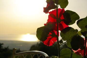 Sonnenuntergang in Zia © Ani-in-Action