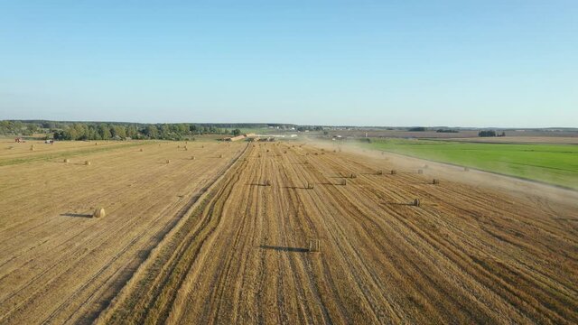 Flying Over A Rural Field With Twisted Hay Rolls After Harvesting