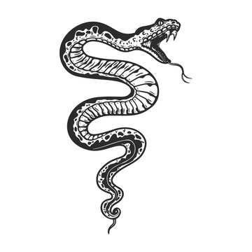 Illustration of poisonous snake  in engraving style. Design element for logo, label, emblem, sign, badge. Vector illustration