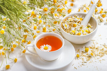 Daisy flowers in white tea cup, healthy chamomile herbs and mortar of dry daisies buds on concrete background. Herbal medicine. Healthy lifestyle concept.