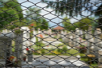 Cemetery view through a fence