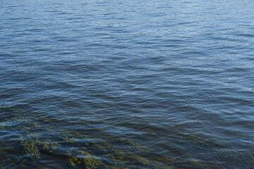 
texture of the water in the river in St. Petersburg