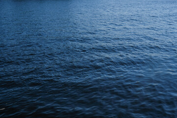 water surface with seaweed in the water