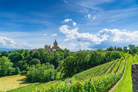 le ch&acirc;teau de Vufflens-le-ch&acirc;teau pr&egrave;s de Lausanne en Suisse romande sur sa colline se dresse dans un ciel bleu et des gros cumulus blancs avec ses vignes et sa for&ecirc;t d'un vert vif