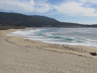 the view of a beautiful beach in Carmel-by-the-Sea in the Monterey County in California in the month of October, USA