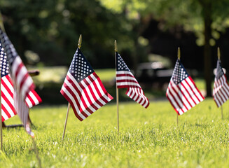 American Flags in the Grass