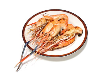 Grilled Shrimps on plate isolated on white background.