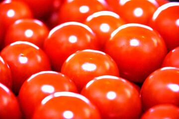 ツヤのある新鮮なたくさんの赤いプチトマト。A lot of red cherry tomatoes.
