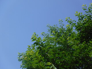 それぞれが　それぞれに　向かって