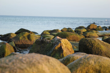 Fototapeta na wymiar Steine an der Ostseeküste
