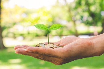 growth finance concept plant growing on coin in business man hand for wealth saving money and investment success.