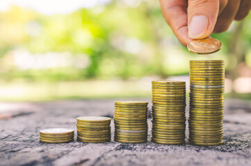 investor business man hand putting money on coins row stack on wood table with blur nature park background. money saving concept for financial banking and accounting.