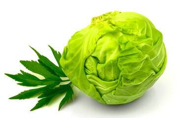 Fototapeta premium Whole fresh white cabbage with green leaves isolated on white background