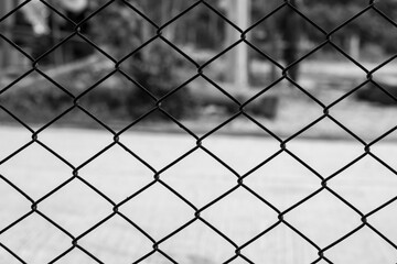 Fototapeta premium Decorative wire mesh of fence in the garden.