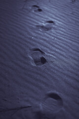 Footprints in sand