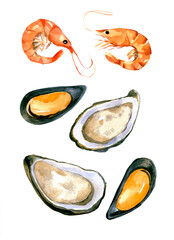 Seafood mussels, prawns, oysters. Watercolor illustration isolated on white background.