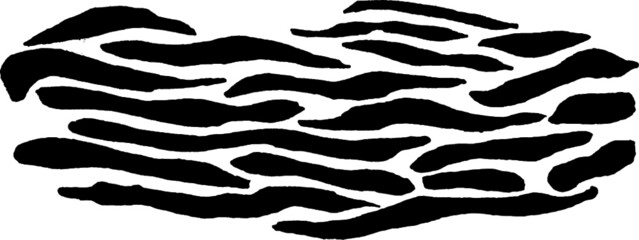 Black and white pattern of tiger stripes. Sketch an ornament of Africa animal skin 