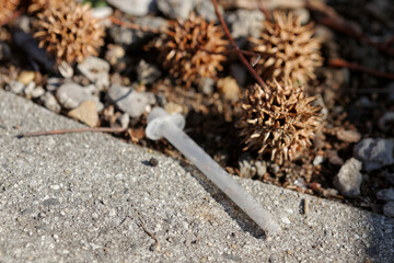 A used hypodermic plunger lays discarded in a tree well along Spring Garden street in Philadelphia, emphasizing the urgent need for safe injection sites.