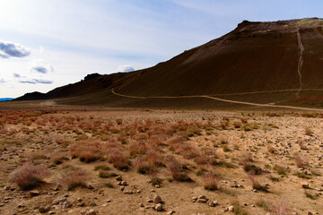 Namafjall, a high-temperature geothermal area with fumaroles and mud pots in Iceland