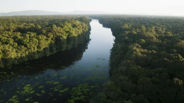 River along Amazon Jungle in South America, Guyana. Dronen aerial view of Kaieteur falls River with trees, blue Sky and Flowing Water