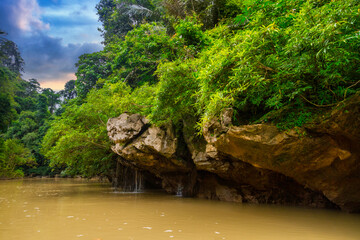 Rainforest of Khao Sok National Park, Thailand