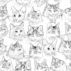 .Seamless pattern with a variety of portraits of cats. Hand-drawn vector monochrome illustration in sketch style.